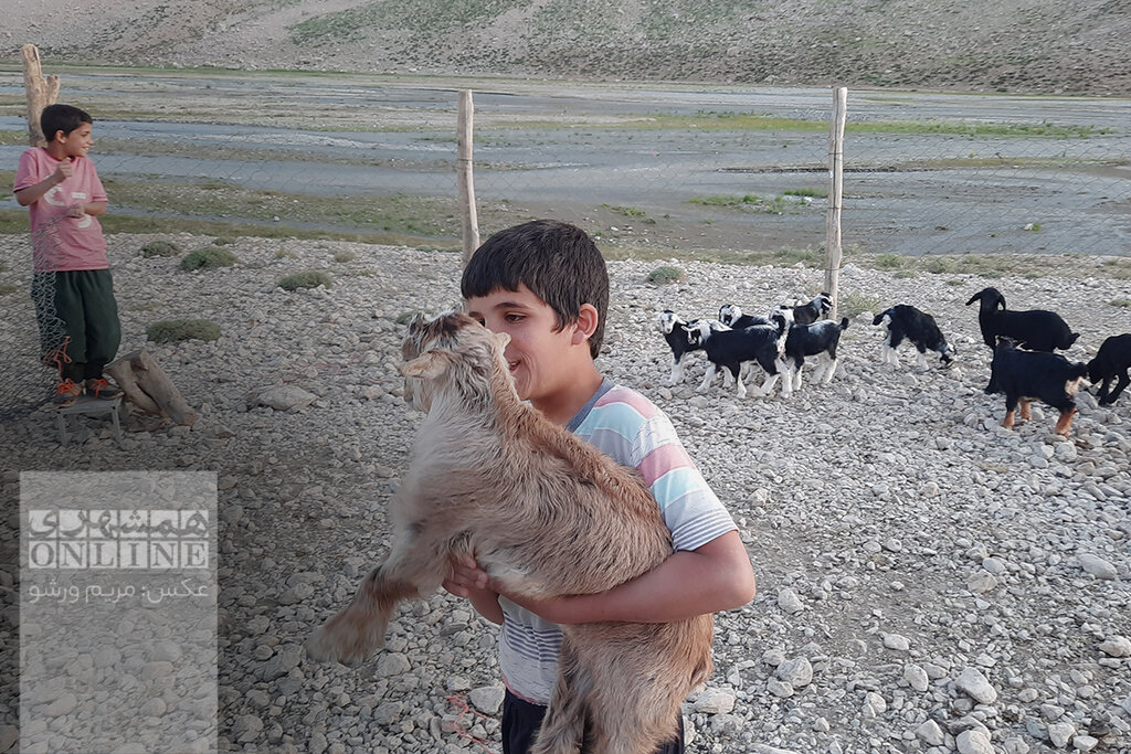 تصاویری از زندگی جذاب عشایر تهران در دل دشت لار | وقتی دستگاههای مدرن جای مَشک را میگیرند | روش کار خامهگیر دستی را ببینید