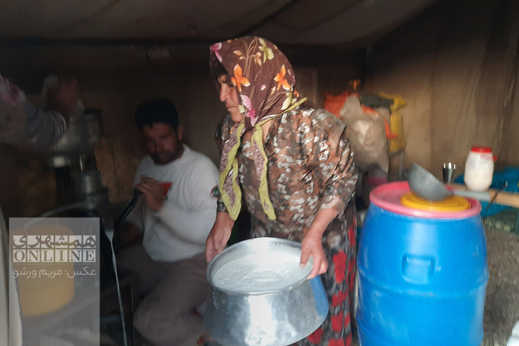 تصاویری از زندگی جذاب عشایر تهران در دل دشت لار | وقتی دستگاههای مدرن جای مَشک را میگیرند | روش کار خامهگیر دستی را ببینید