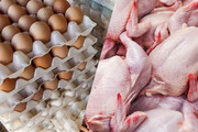چرا نرخ جدید مرغ و تخم مرغ اعلام نشد؟