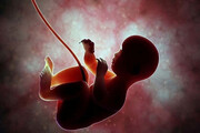 اجرای طرح نجات فرزندان سقط | نجات ۴۰۰ جنین فقط در یک شهر | وزارت بهداشت نهاد پلیسی نیست و به خانه مردم دسترسی ندارد