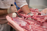 گزارش عجیب از عرضه گوشت اسب و الاغ در کشور | استفاده از گوشت گربه برای سوسیس و کالباس واقعیت دارد؟