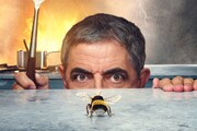 منتظر کمدی جدید مستربین باشید | وقتی یک خانه مجلل در نبرد با یک زنبور ویران می‌شود!