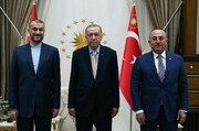 ببینید | مکالمه امیرعبداللهیان و اردوغان به زبان‌های ترکی و عربی
