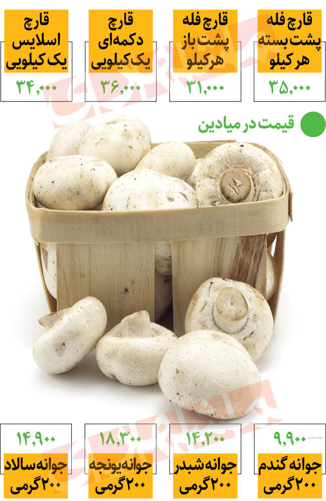 قیمت جدید انواع قارچ و جوانه‌ها در میادین |  یک کیلو قارچ دکمه‌ای ۳۶ هزار تومان