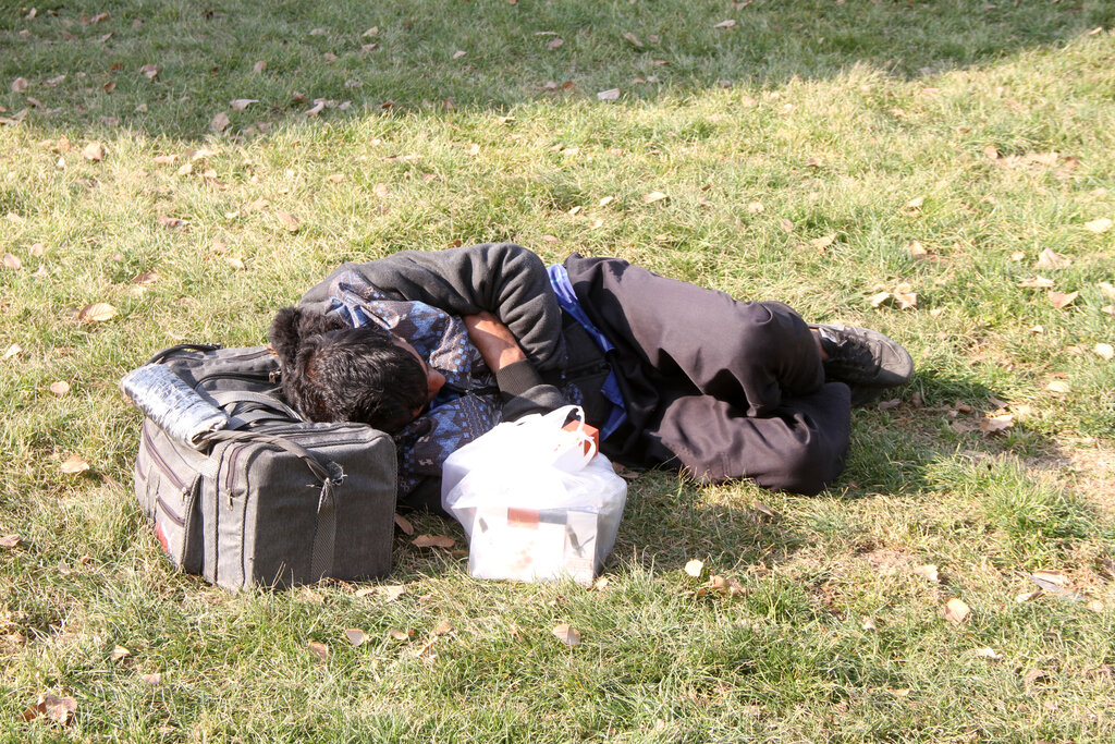 زبالهگردهای خوشتیپ!