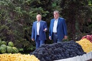 تصاویر شام دوستی پوتین و رحمان در دوشنبه | حرکت پوتین در میان میوه‌ها