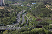 «درخت‌های‌افتخار» در تهران | ۲ هزار هکتار فضای سبز جدید به پایتخت اضافه می‌شود