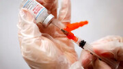 توصیه به تغییر ترکیب واکسن کرونا در آمریکا برای مقابله با سویه اُمیکرون در ابتدای پاییز