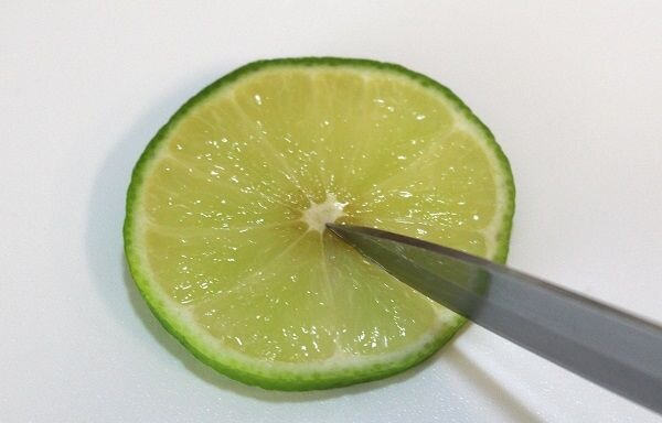 ۲ تزئین خلاقانه و جدید با لیموترش | با این گارنیش غذاهای تابستانی را زیباتر کنید