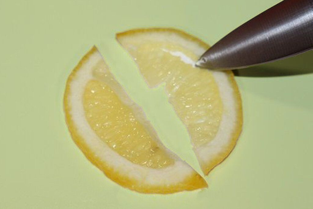 ۲ تزئین خلاقانه و جدید با لیموترش | با این گارنیش غذاهای تابستانی را زیباتر کنید