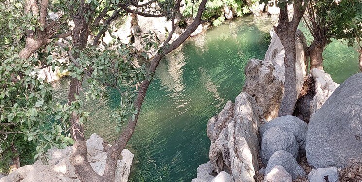 تصاویری زیبا از دره پلنگی ایران ؛ تنگه‌ای هیجان‌انگیز برای شنا، پرش در آب