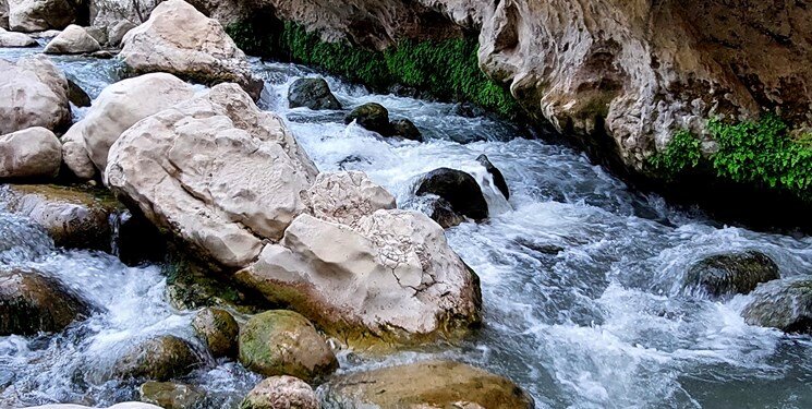تصاویری زیبا از دره پلنگی ایران ؛ تنگه‌ای هیجان‌انگیز برای شنا، پرش در آب