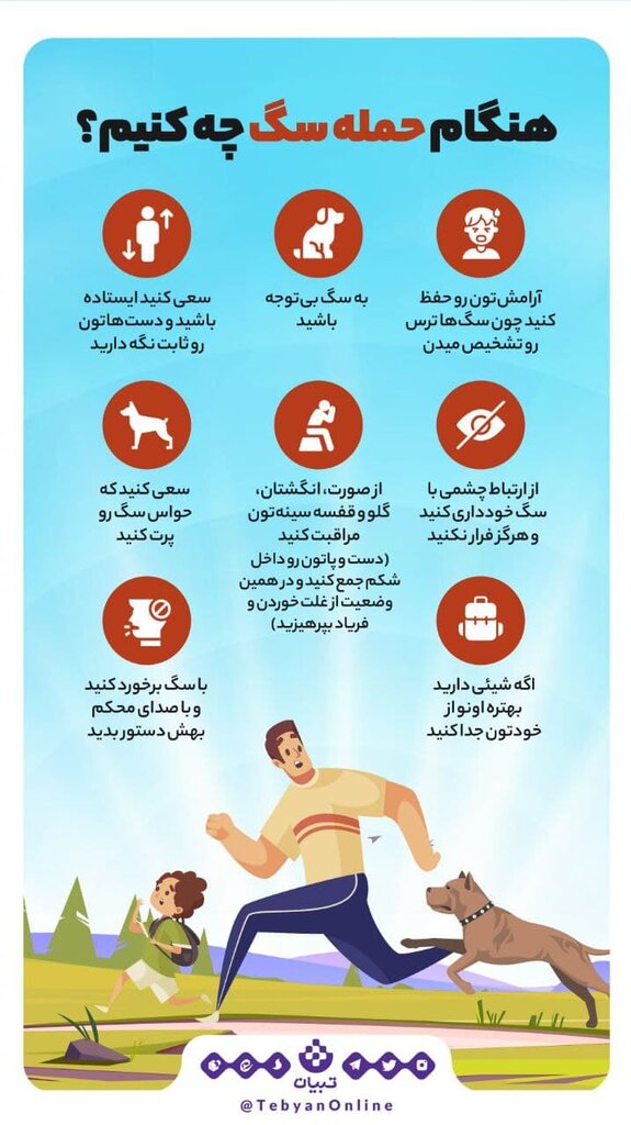 اینفوگرافیک | هنگام حمله سگها چه کنیم؟