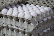 اعلام قیمت هر کیلوگرم تخم مرغ | مصرف تخم مرغ افزایش می یابد؟