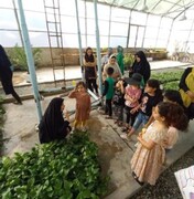 افتتاح سایت آموزشی گیاهان دارویی در دولت‌آباد | آموزش پرورش قارچ خوراکی و گیاهان آپارتمانی