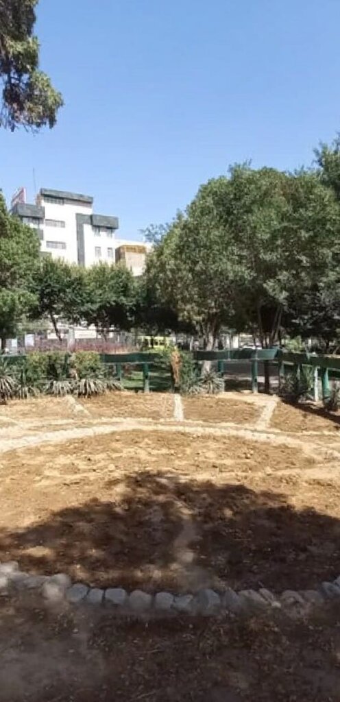 افتتاح سایت آموزشی گیاهان دارویی در دولتآباد | آموزش پرورش قارچ خوراکی و گیاهان آپارتمانی