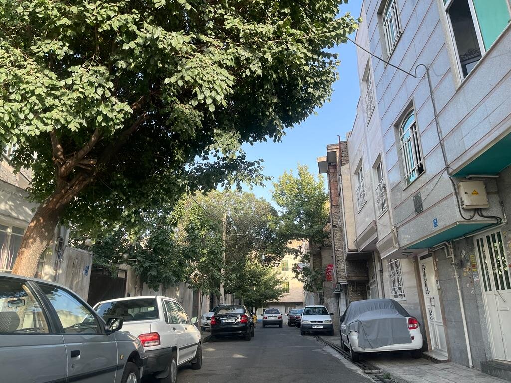 سرگذشت یک جزیره | خاکسفید گلشن شدهاست؟