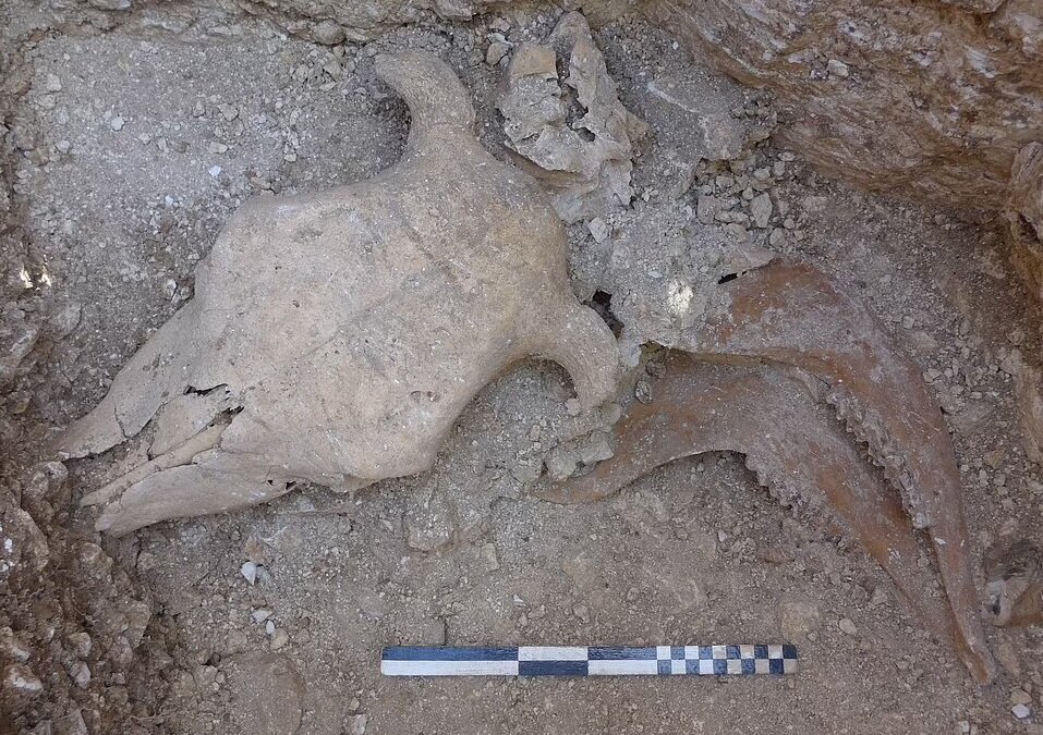 تصاویری از کشف قبرهایی متعلق به ۲ هزار سال پیش | به عصر آهن خوش‌آمدید!