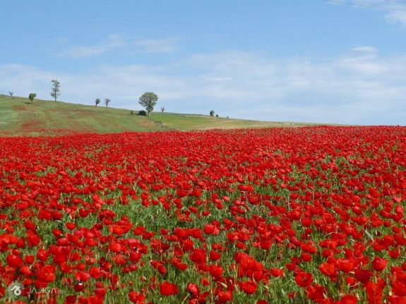 اجاره ویلا شهریار | ییلاقی خنک در نزدیکی تهران