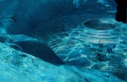 طرح ویژه برای شناسایی موجودات فضایی | روبات‌های شناگر به دنبال حیات در اعماق آب‌های سیارات دیگر