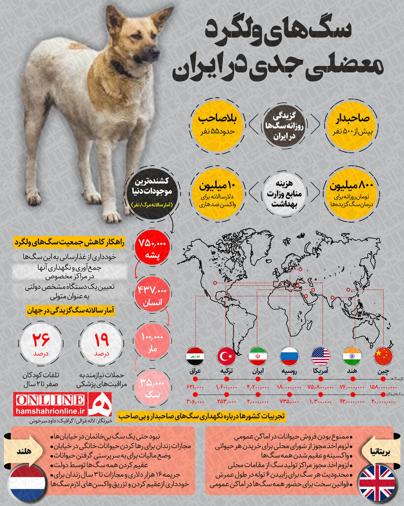 اینفوگرافیک | جمعیت سگ‌ها در ایران و کشورهای جهان چقدر است؟ | آمار هولناک سگ‌گزیدگی در ایران 