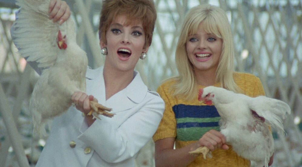 تصاویر | زنی که سینمای اروپا در برابر مرلین مونروی هالیوود علم کرد