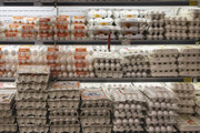 جدیدترین قیمت تخم مرغ محلی و بسته بندی در بازار | قیمت هر شانه تخم مرغ ۲۰ عددی چند شد؟