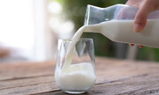 ارزان‌ترین قیمت شیر با خرید از اسنپ مارکت