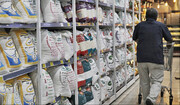 جدیدترین قیمت برنج ایرانی و خارجی در بازار  | هر کیلو برنج هاشمی چند شد؟