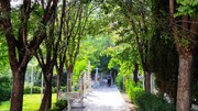 تبدیل چهار فضای سبز خصوصی به بوستان عمومی | هر منطقه تهران چه تعداد بوستان دارد؟