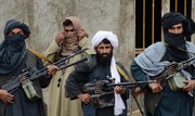 فرمانده ارشد طالبان کشته شد | ۴ نفر زخمی شدند