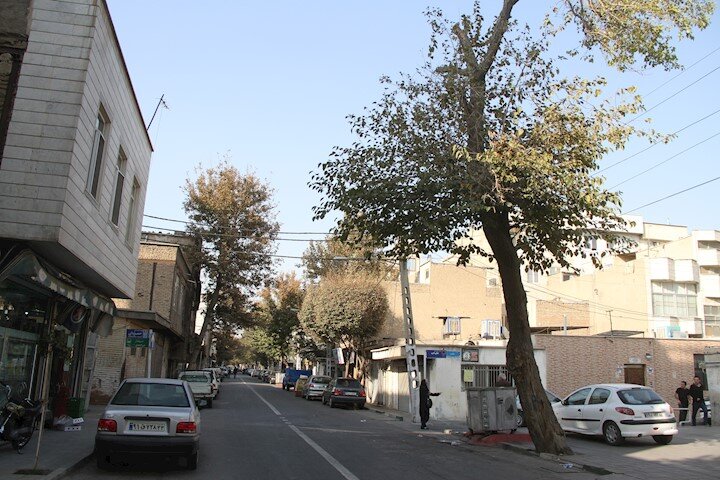 این قصاب باغبان باصفای محله مقدم است