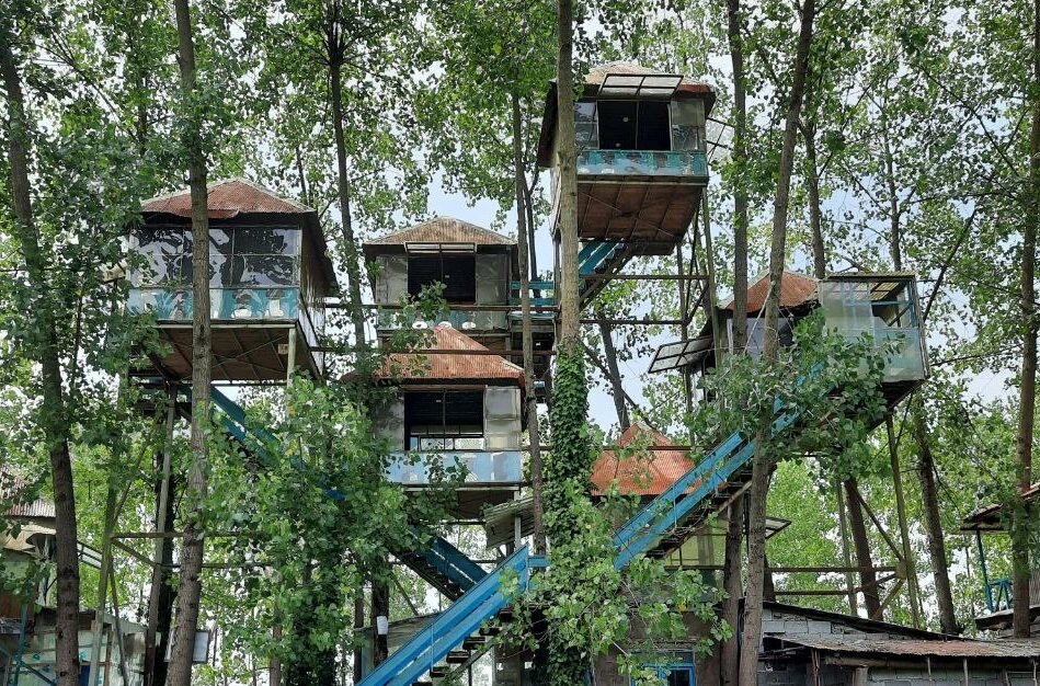 ببینید | خانه درختی که دل گردشگران گیلان را میبرد | قابل توجه علاقهمندان خانواده دکتر ارنست؛ نیلوفرانه در باد پیچیده تاب خورده! خانه درختی