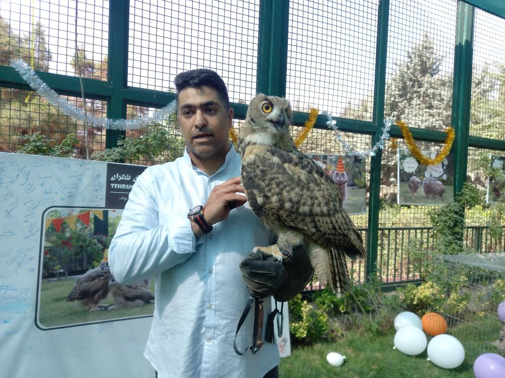 تولد شنگول، منگول و حبه انگور