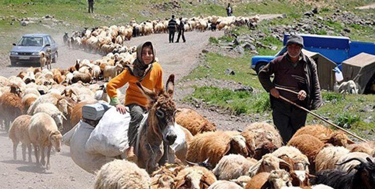 هفتخوان تأمین گوشت استان تهران | عبور از لپه زنک تا دشت لار
