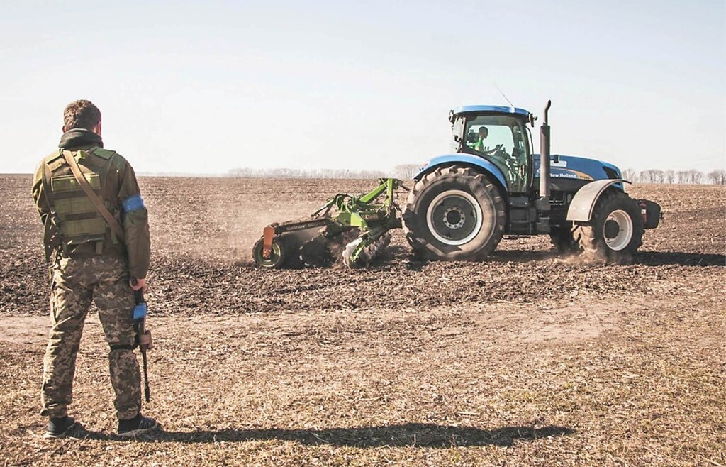 کشاورزی اوکراین - غلات اوکراین