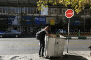 جمع آوری مخازن زباله در دستور کار شهرداری | همکاری مردم برای تفکیک پسماند از مبدا