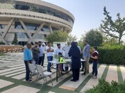 آموزش فوت و فن پرورش گیاه زیر سایه برج مخابراتی