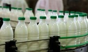 جدیدترین قیمت انواع شیر پاستوریزه و محلی در بازار | یک لیتر شیر کم چرب چند شد؟