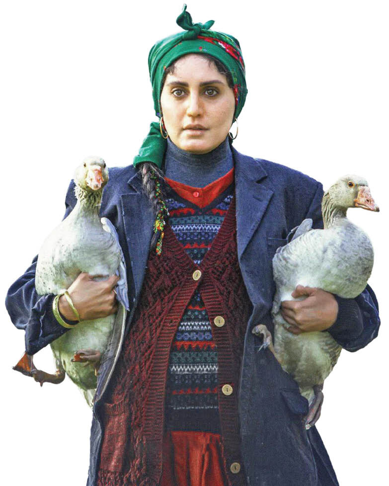 چرا حضور شهاب حسینی هم روی پرده سینما فیلم را نجات نمیدهد؟ | صف شلوغ اکران و فیلمهایی که شکست میخورند