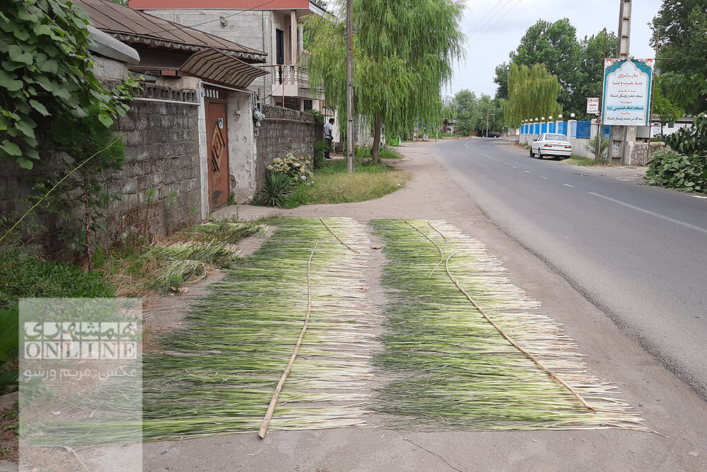 ببینید | خانه حصیر ایران کجاست؟ | گشتوگذار در فَشتَکه ؛ نخستین روستای ملی حصیر کشور | صنایع دستی که بازار جهانی دارد