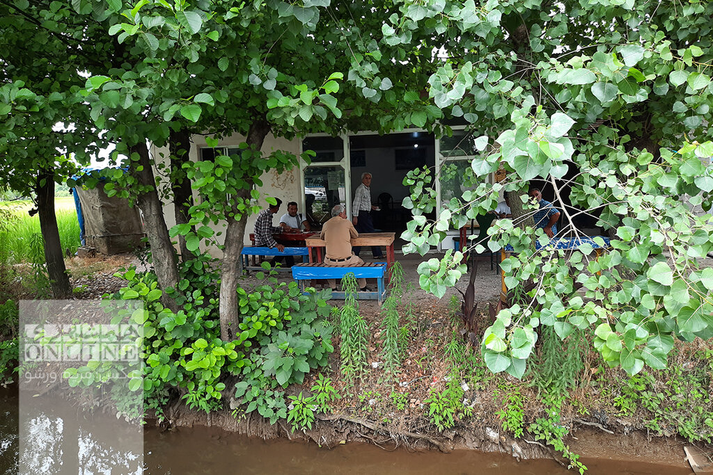 ببینید | خانه حصیر ایران کجاست؟ | گشتوگذار در فَشتَکه ؛ نخستین روستای ملی حصیر کشور | صنایع دستی که بازار جهانی دارد