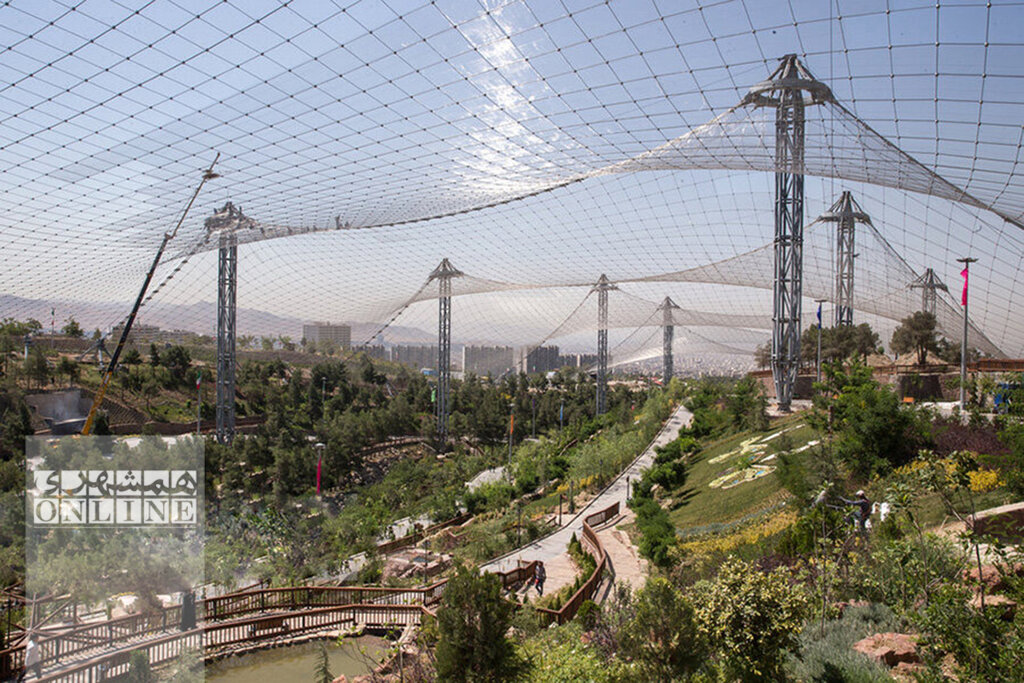 تولد شنگول، منگول و حبه انگور