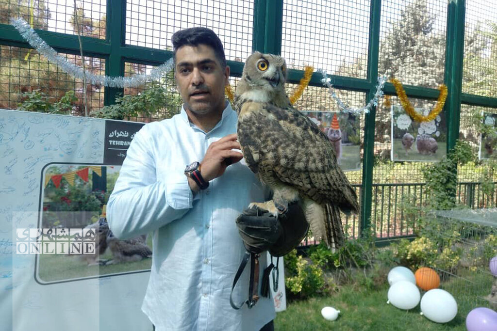 تولد شنگول، منگول و حبه انگور