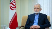 دیپلمات صورت سنگی ایران بالاخره لبخند زد + عکس