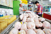 قیمت قانونی هرکیلو گرم مرغ چند است؟ | دلایل قیمت متفاوت مرغ در مغازه ها