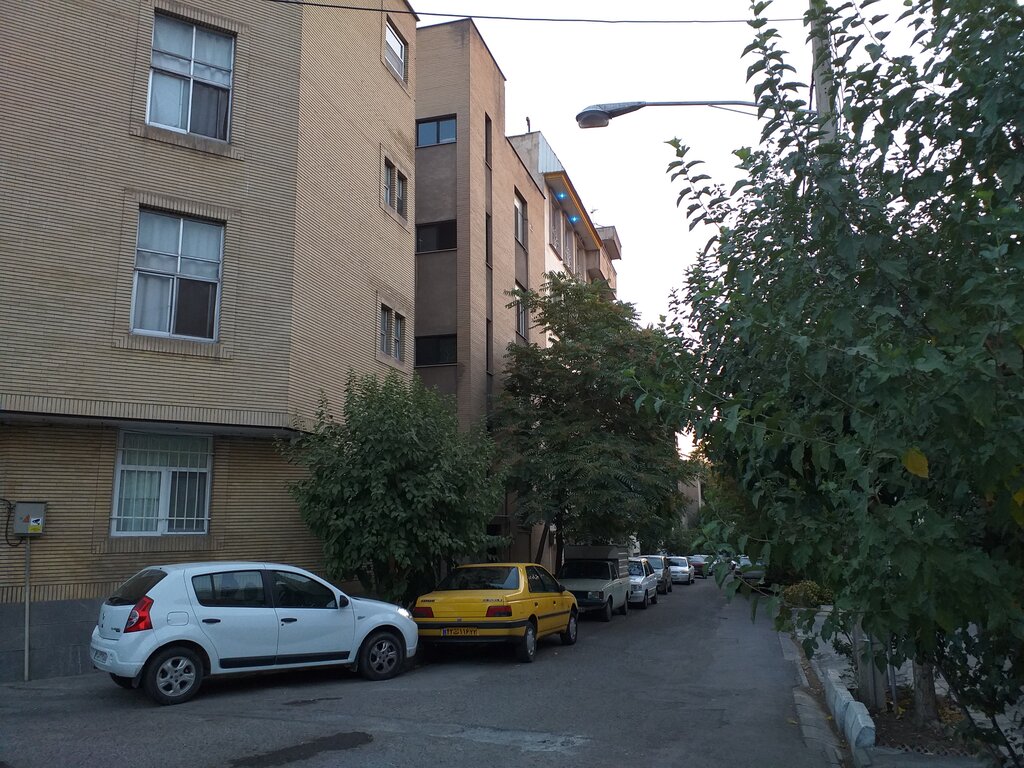 ببینید | حمله خفاشها به غرب تهران