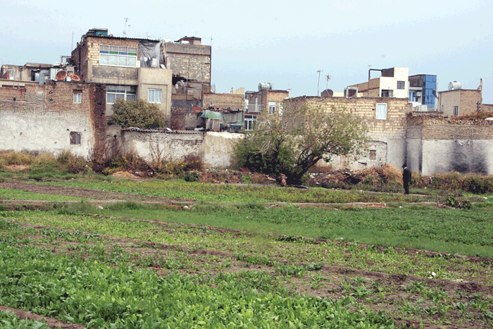 تعیینتکلیف بزرگترین زمینهای متروکه جنوب غرب تهران | مجموعه عظیم ورزشی، تفریحی و فرهنگی مردادماه تحویل شهروندان میشود