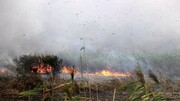 تصاویر هوایی آتش سوزی گسترده در تالاب انزلی