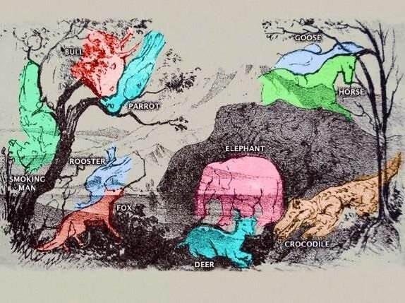 چه حیواناتی در تصویر میبینید؟ | فقط ۱۰ درصد افراد پاسخ را پیدا میکنند